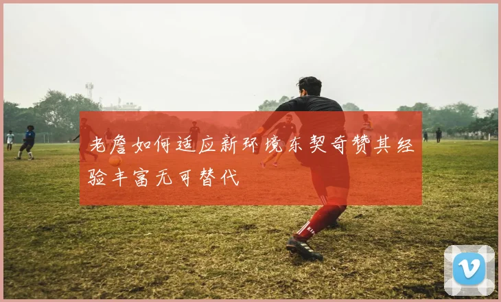 老詹如何适应新环境东契奇赞其经验丰富无可替代
